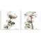 Stupell Industries Cream Transparent Floral 2pc Wall Plaque Set Design by Albert Koetsier